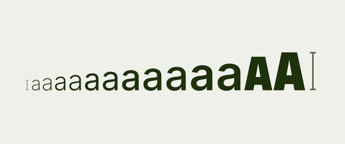 Editorial Typography